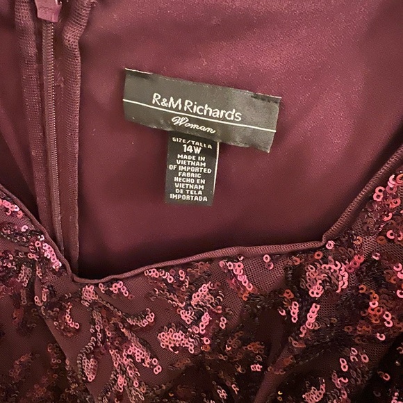 Burgundy Plus Size Godet Sequin Gown - Picture 4 of 9